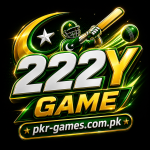 222Y Game